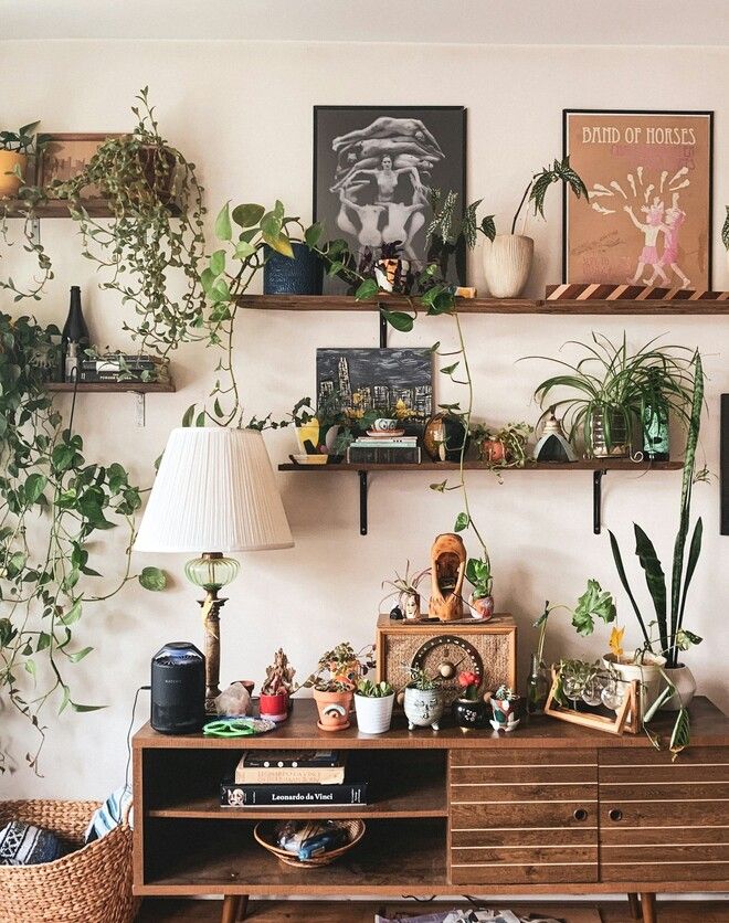 Plant shelf inside a home