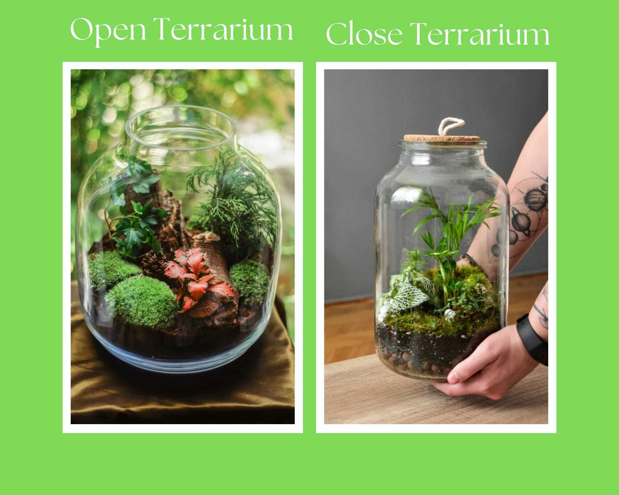 two types of terrarium